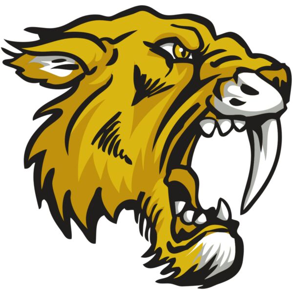 AR30 SABER 03 RQC Vignette