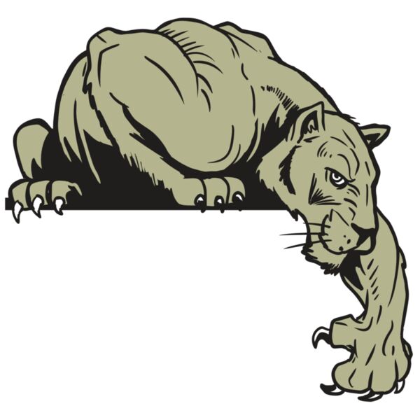 AR10 PANTHER 06 RQC Vignette