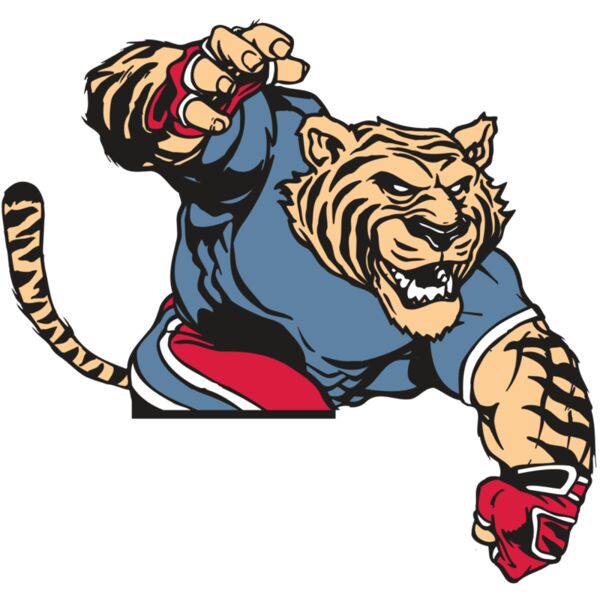 AR TIGER 30 RC Vignette