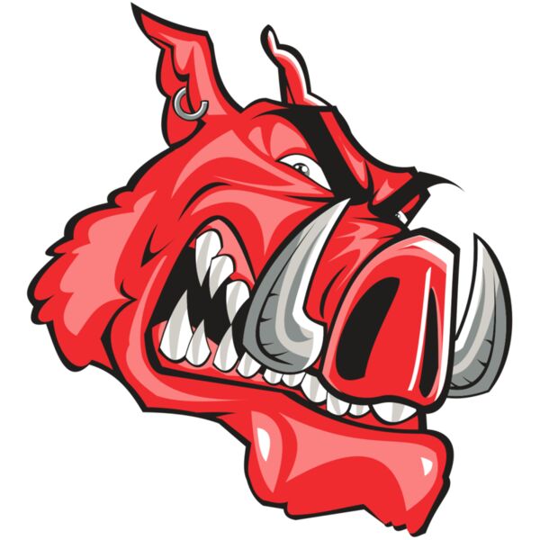 RAZOR HD0504 RQC Vignette