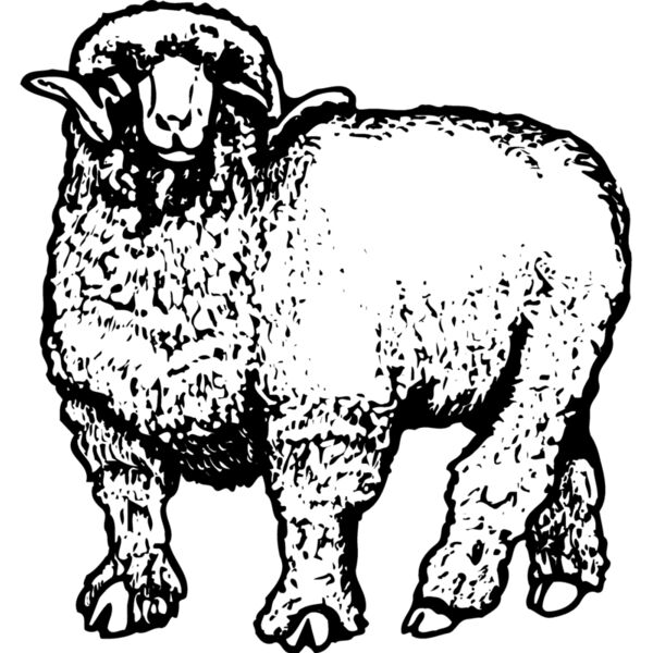 SHEEP001 Vignette