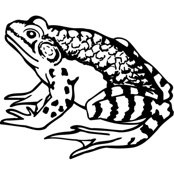 FROG03 Vignette