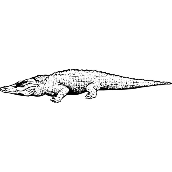 CROC03 Vignette