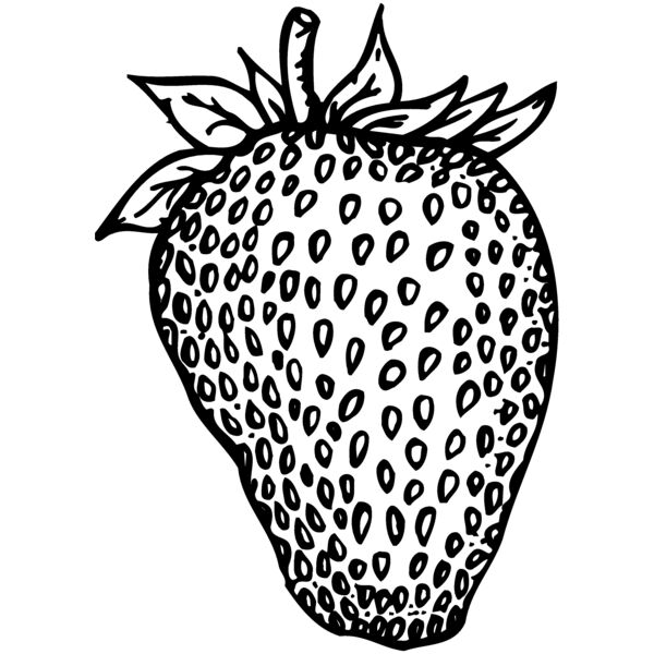 FRUIT010 Vignette