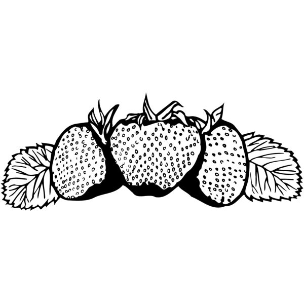 FRUIT034 Vignette