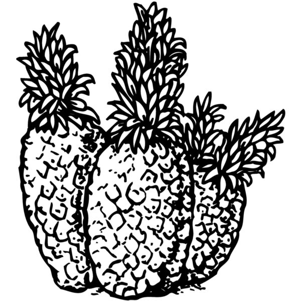 FRUIT039 Vignette