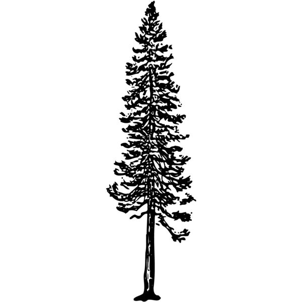 TREE0006 Vignette