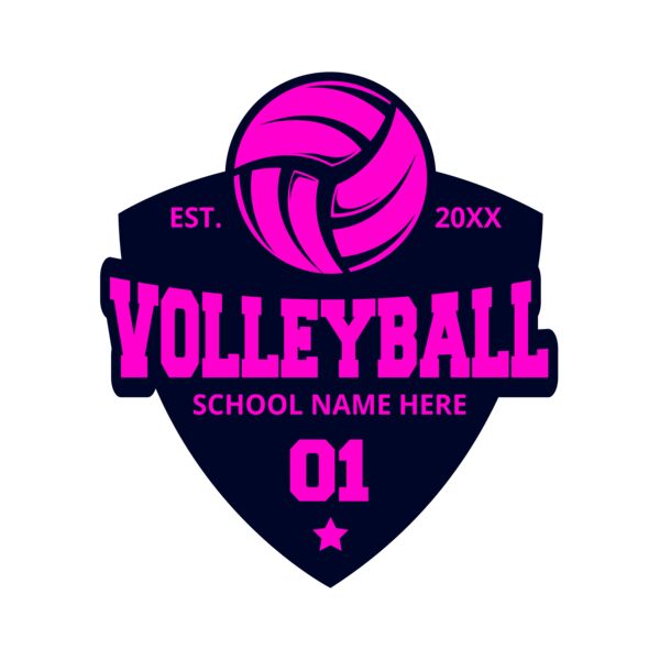 Volleyball 20 Vignette