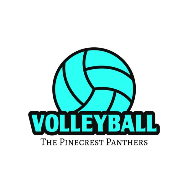 Volleyball 37 Vignette