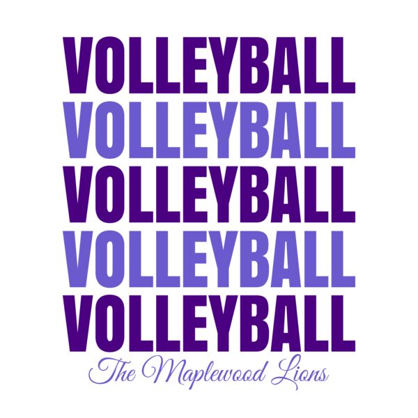 Volleyball 44 Vignette