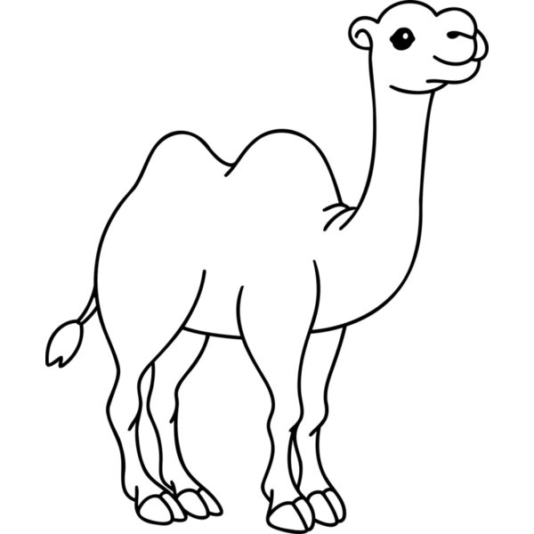 Camel   Clipart 1 Vignette