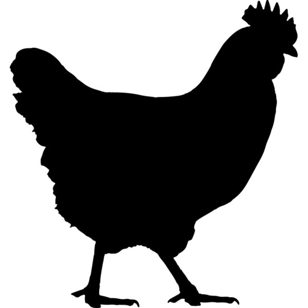 Chicken   Clipart 1 Vignette