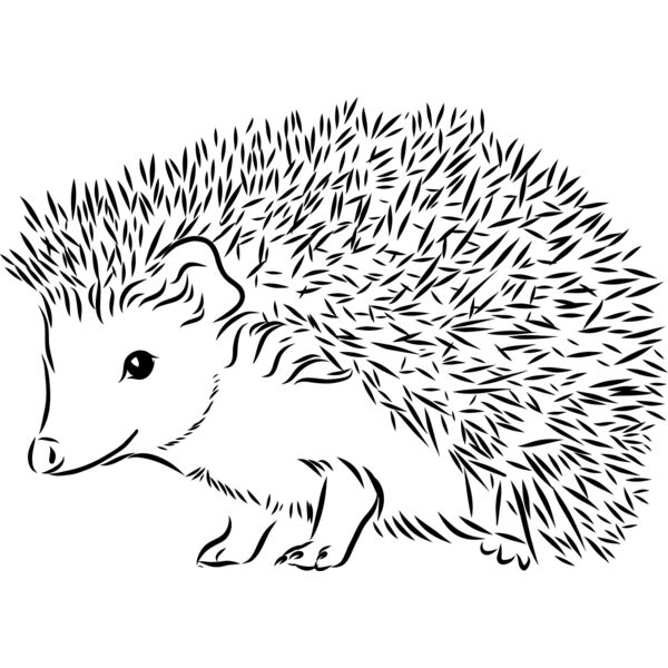 Hedgehog   Clipart 2 Vignette