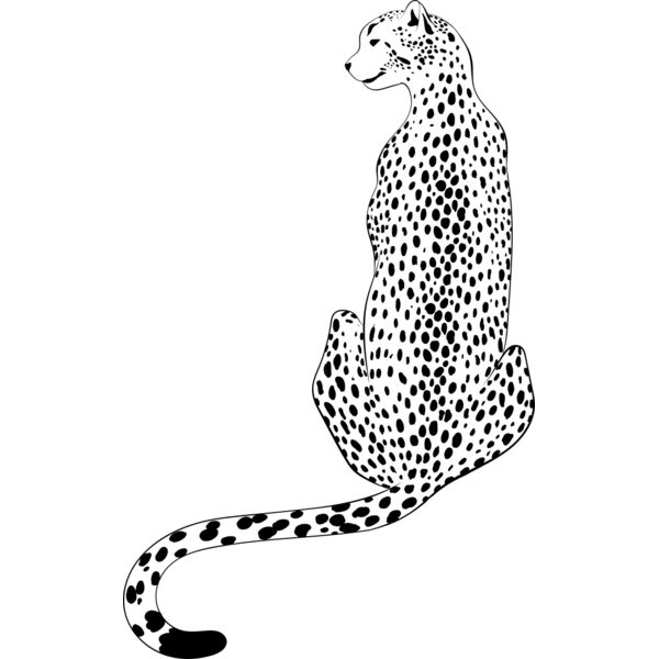 Leopard   Clipart 4 Vignette