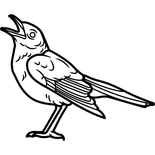 Nightingale   Clipart 1 Vignette