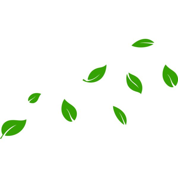 13 Leaves Vignette