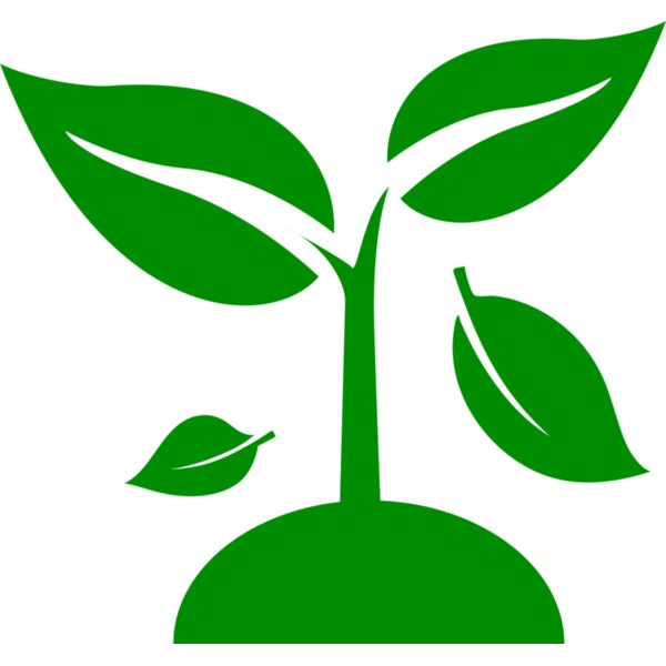 48 Plant Vignette