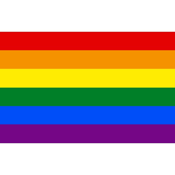 Pride Flag Vignette