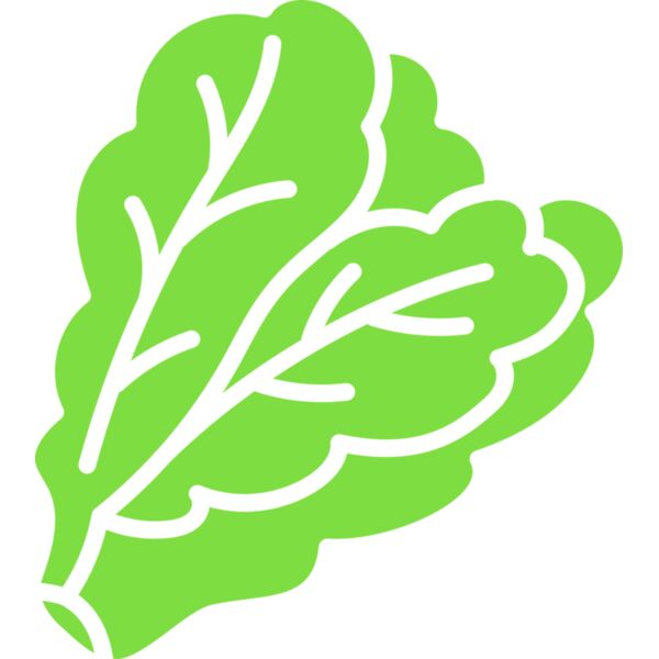 Lettuce Vignette