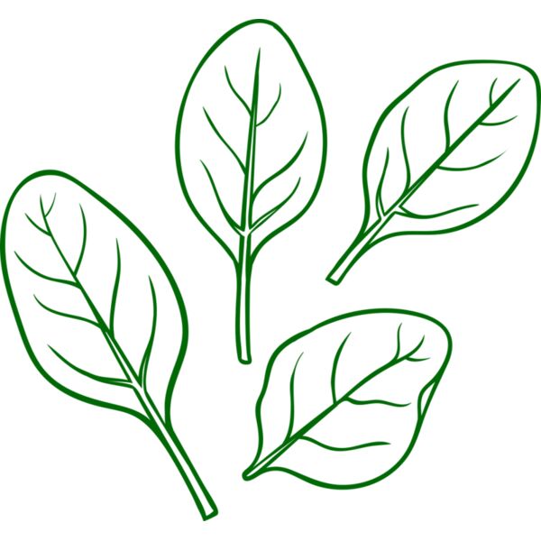 Spinach Vignette