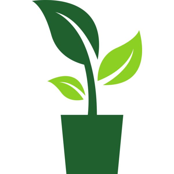 Potted Plant Vignette