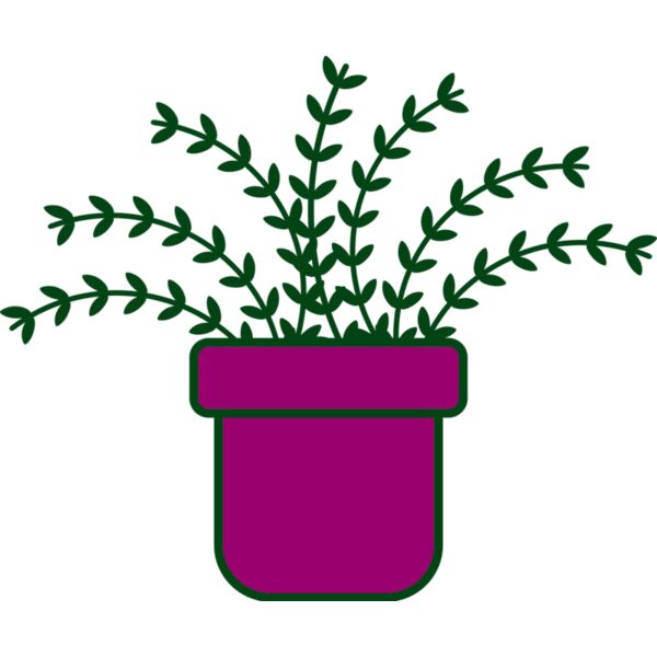 Plant 3 Vignette