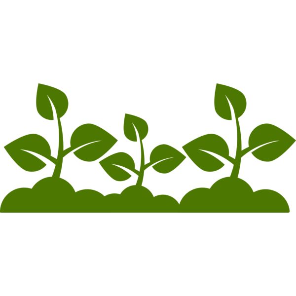 Plant Leaves Vignette