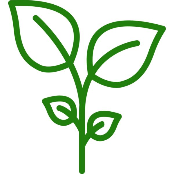 Plant Vignette