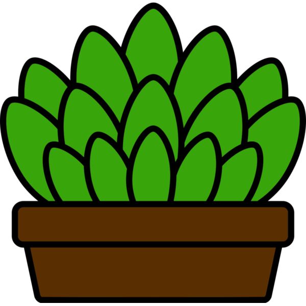 Succulent Plant Vignette