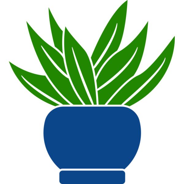Succulent Plant 2 Vignette