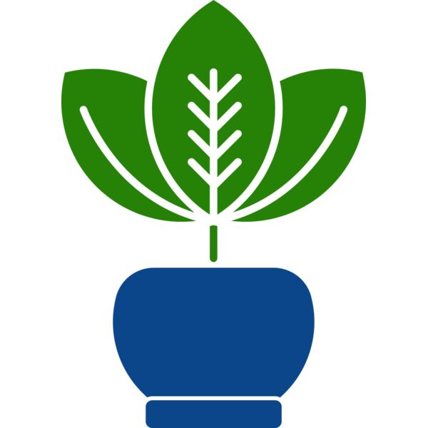 Plant 2 Vignette