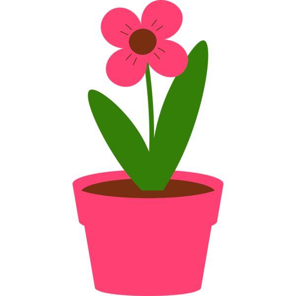Plant 4 Vignette