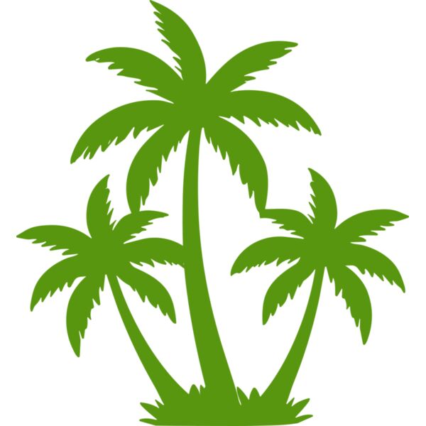 Coconut Tree Vignette