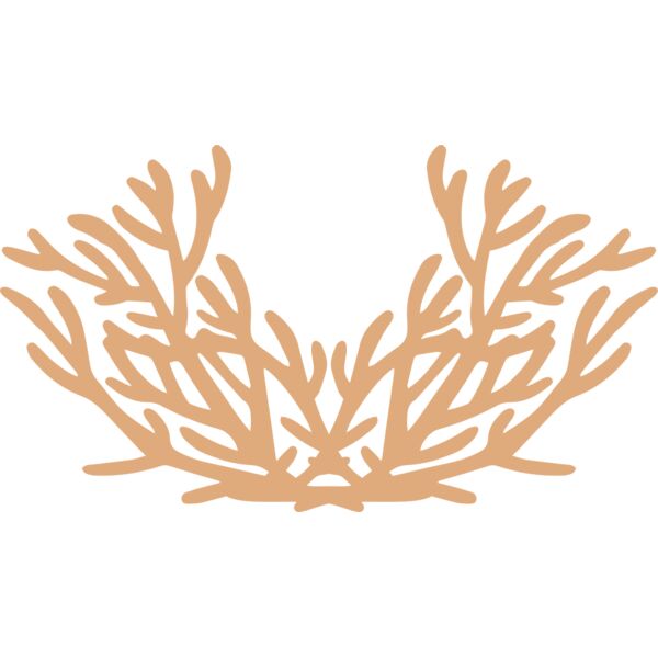 Sea Plants Vignette