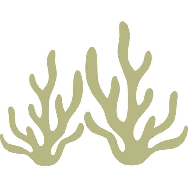 Sea Plants 2 Vignette