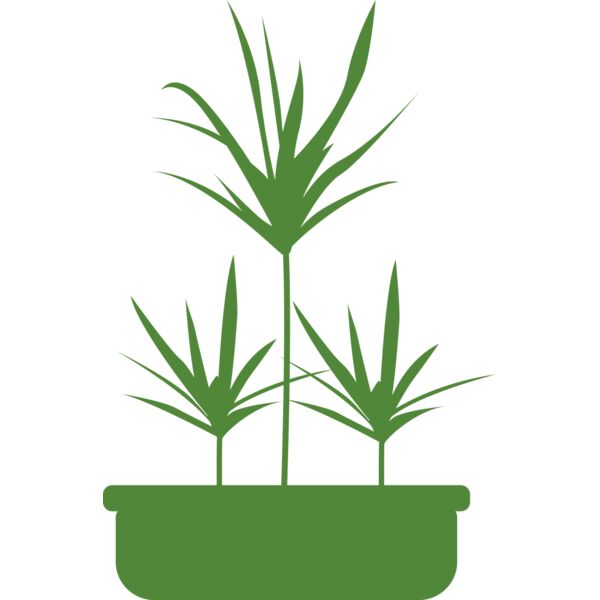 Plants 5 Vignette