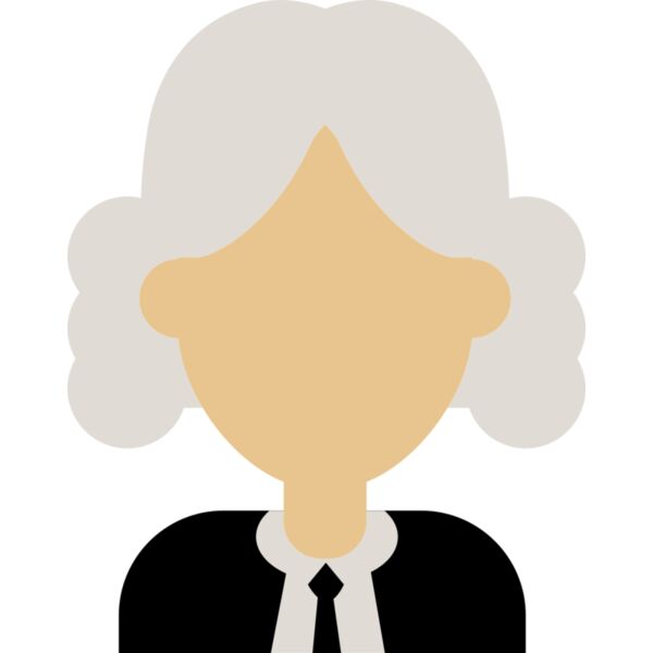 Judge Vignette