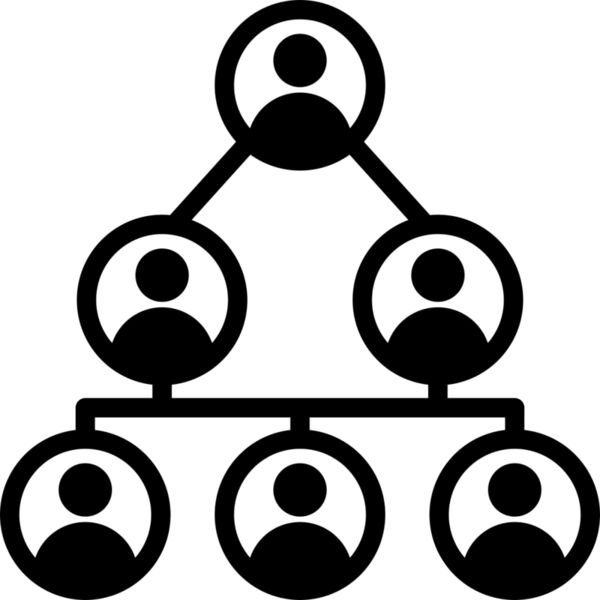 Organization Vignette