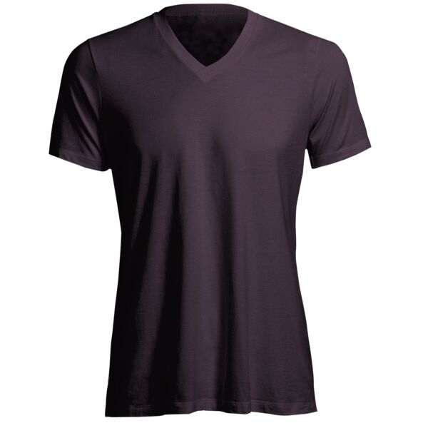 Softstyle V-Neck T-Shirt Vignette