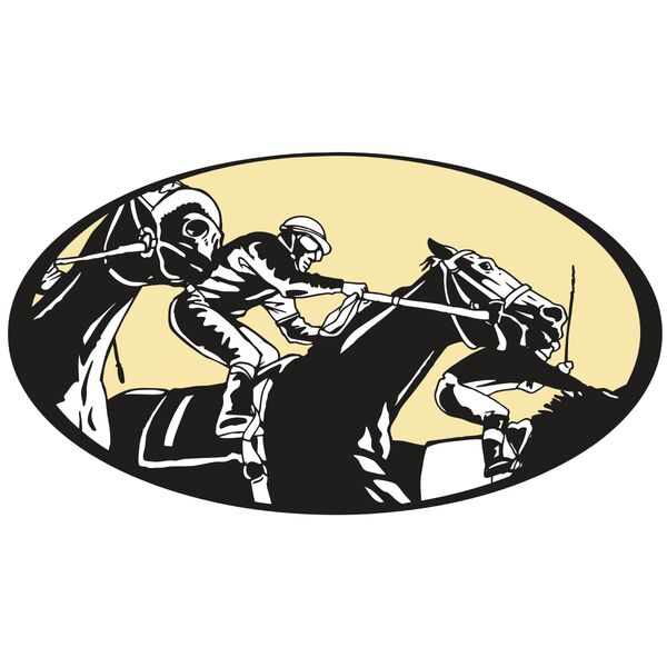 AR EQUEST 14 RC Vignette