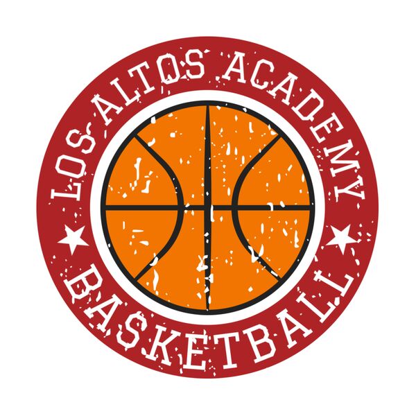 Basketball Template DNT002 Vignette