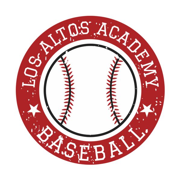 Baseball Template DNT002 Vignette