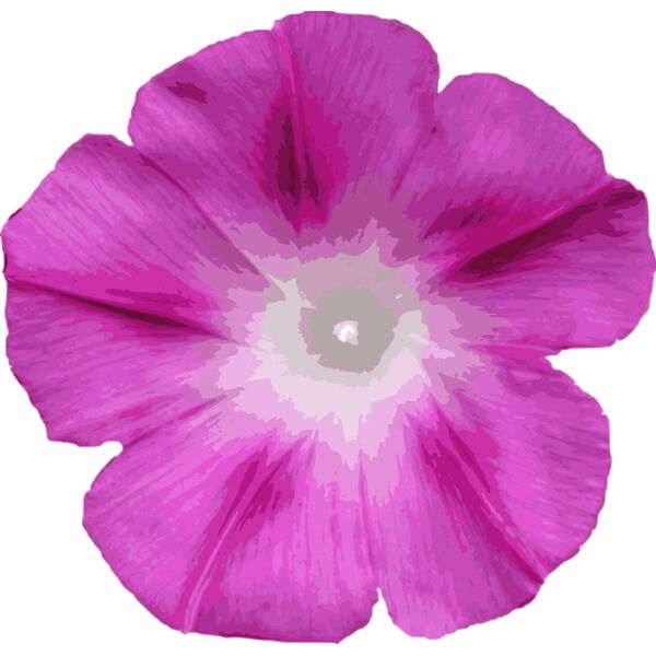 Morning glory cutout Vignette