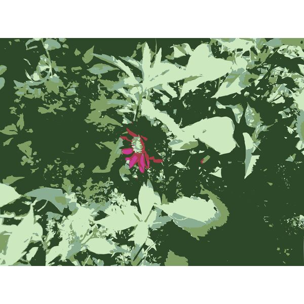 Original Aiflowers 227 Vignette