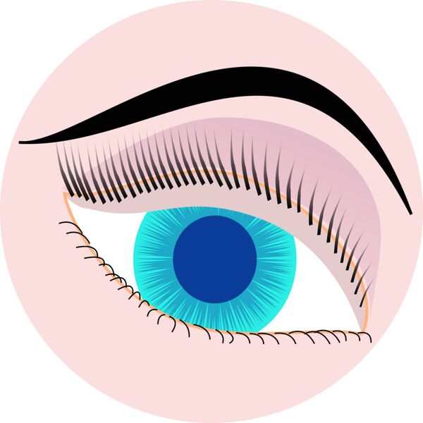 1339294639  2  Vignette