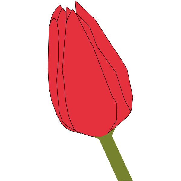 Machovka tulip2 Vignette