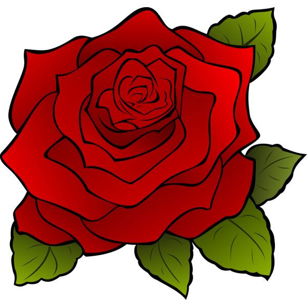 1315549838  2  Vignette