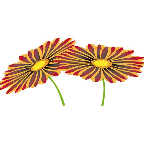 1377539695  2  Vignette