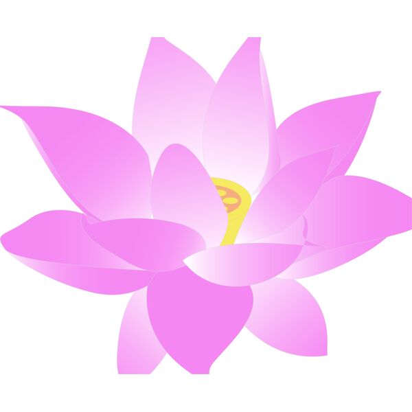 lotus fleur Vignette