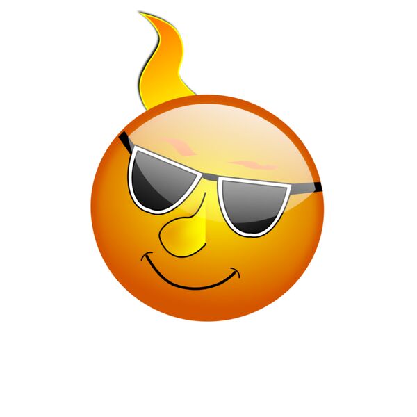 1287157794  2  Vignette